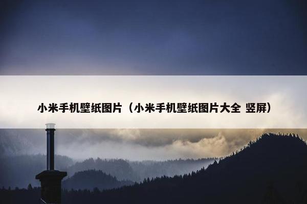 小米手机壁纸图片（小米手机壁纸图片大全 竖屏）