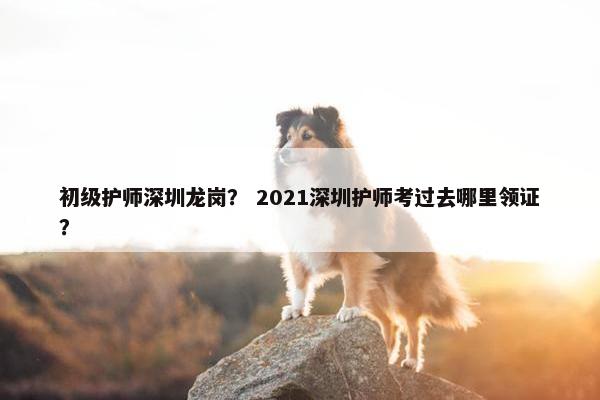 初级护师深圳龙岗? 2021深圳护师考过去哪里领证? 初级护师深圳龙岗? 2021深圳护师考过去哪里领证?