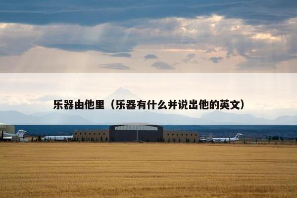 乐器由他里(乐器有什么并说出他的英文) 乐器由他里(乐器有什么并说出他的英文)