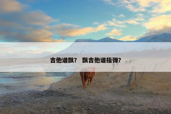 吉他谱飘？ 飘吉他谱指弹？