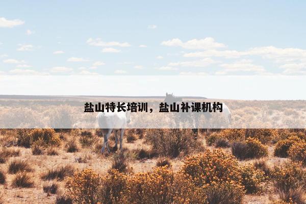 盐山特长培训,盐山补课机构 盐山特长培训,盐山补课机构