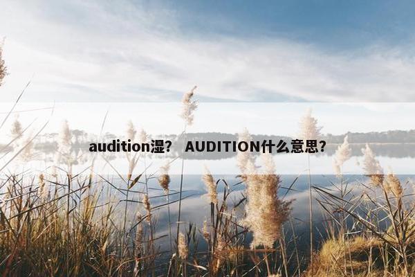 audition湿？ AUDITION什么意思？