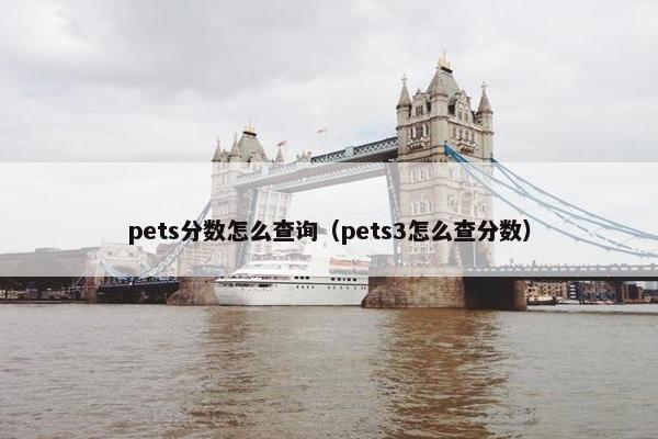 pets分数怎么查询(pets3怎么查分数) pets分数怎么查询(pets3怎么查分数)