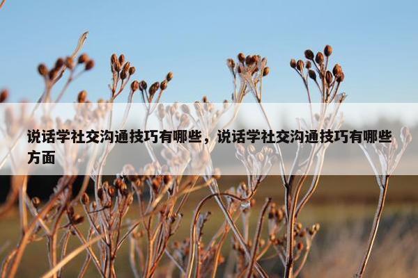 说话学社交沟通技巧有哪些,说话学社交沟通技巧有哪些方面 说话学社交沟通技巧有哪些,说话学社交沟通技巧有哪些方面