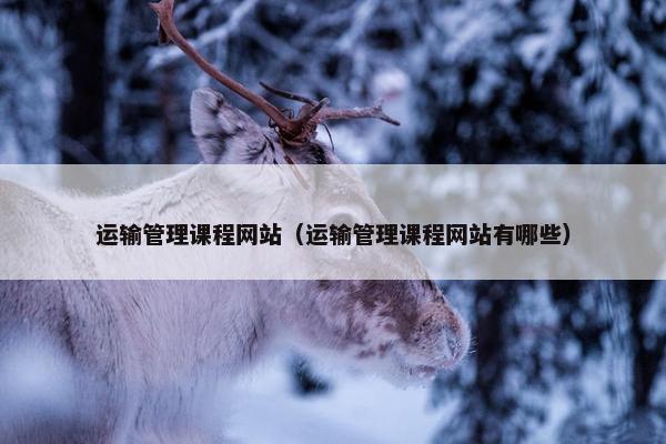 运输管理课程网站(运输管理课程网站有哪些) 运输管理课程网站(运输管理课程网站有哪些)