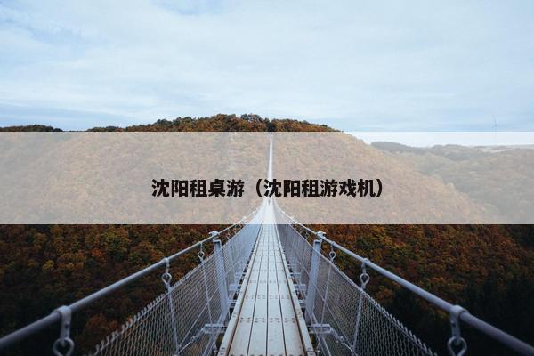 沈阳租桌游（沈阳租游戏机）