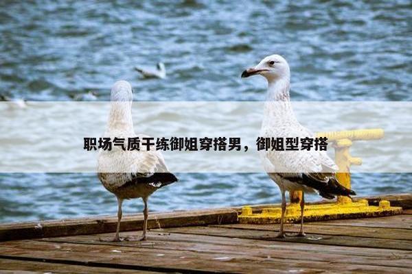 职场气质干练御姐穿搭男,御姐型穿搭 职场气质干练御姐穿搭男,御姐型穿搭