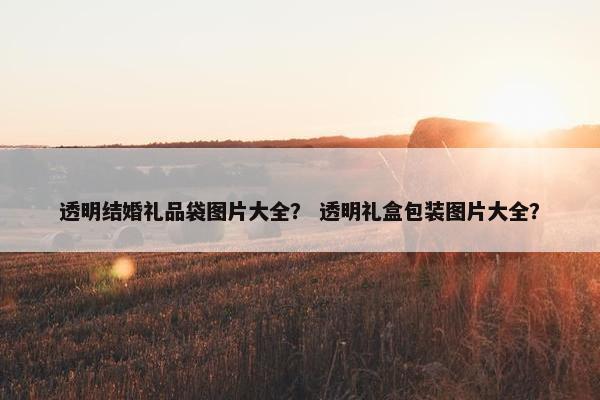 透明结婚礼品袋图片大全？ 透明礼盒包装图片大全？