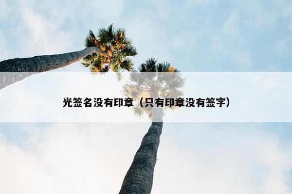 光签名没有印章（只有印章没有签字）