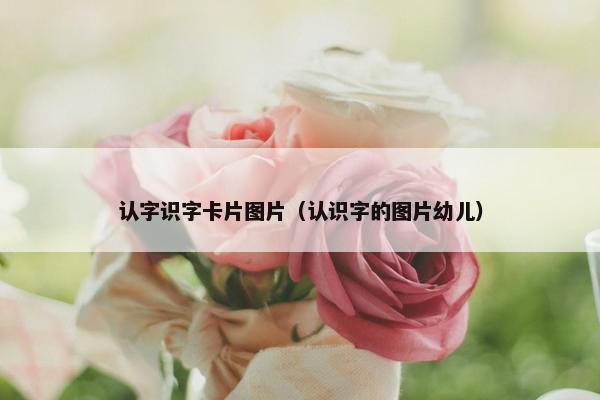 认字识字卡片图片（认识字的图片幼儿）