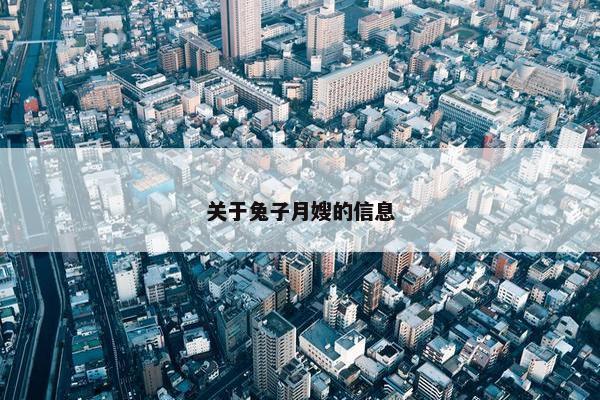 关于兔子月嫂的信息