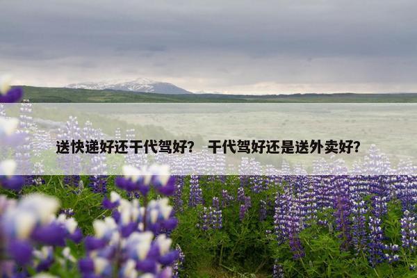 送快递好还干代驾好？ 干代驾好还是送外卖好？