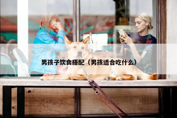 男孩子饮食搭配(男孩适合吃什么) 男孩子饮食搭配(男孩适合吃什么)