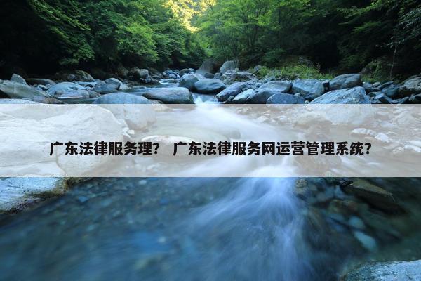 广东法律服务理？ 广东法律服务网运营管理系统？