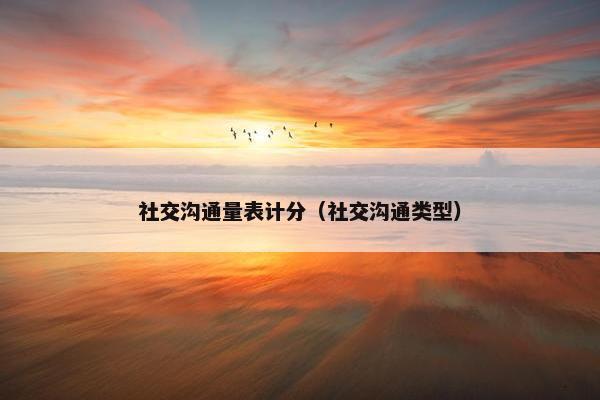 社交沟通量表计分（社交沟通类型）