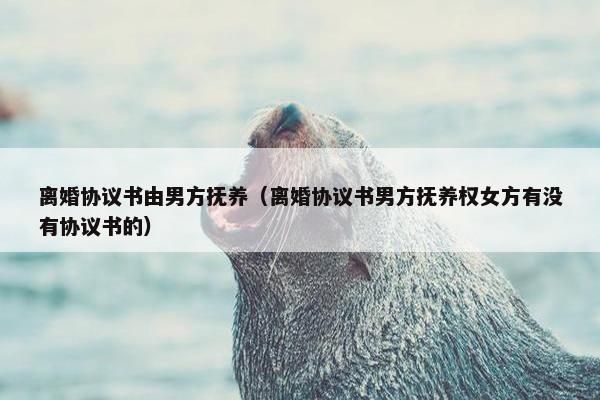 离婚协议书由男方抚养(离婚协议书男方抚养权女方有没有协议书的) 离婚协议书由男方抚养(离婚协议书男方抚养权女方有没有协议书的)