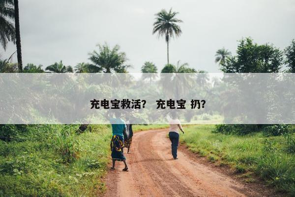 充电宝救活? 充电宝 扔? 充电宝救活? 充电宝 扔?