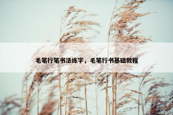 毛笔行笔书法练字，毛笔行书基础教程