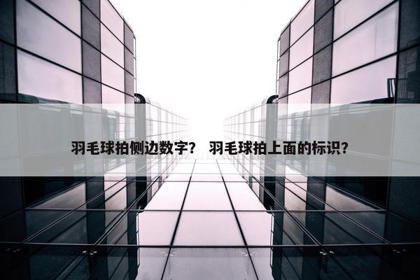 羽毛球拍侧边数字？ 羽毛球拍上面的标识？