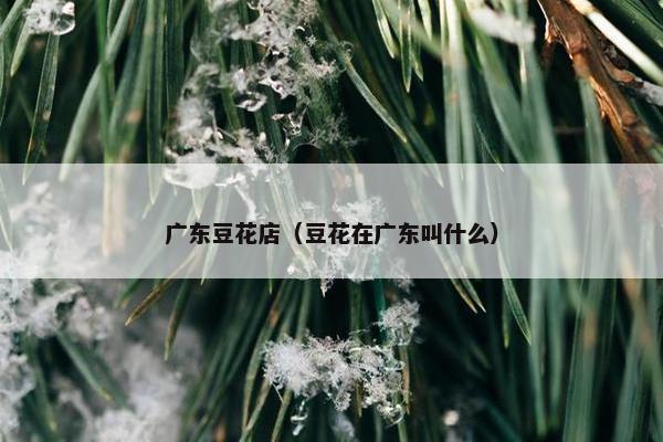 广东豆花店(豆花在广东叫什么) 广东豆花店(豆花在广东叫什么)