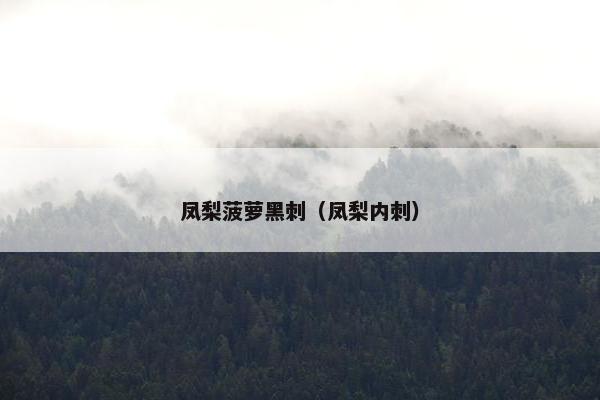 凤梨菠萝黑刺（凤梨内刺）