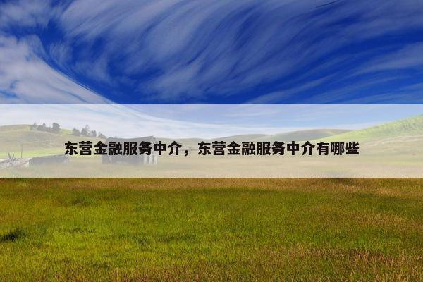 东营金融服务中介，东营金融服务中介有哪些