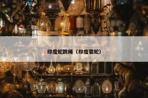 印度蛇跳绳(印度耍蛇) 印度蛇跳绳(印度耍蛇)