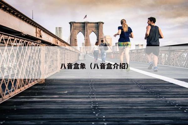 八音盒象（八音盒介绍）