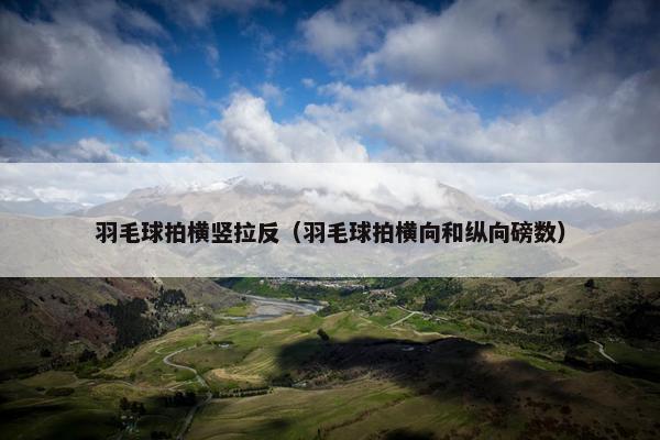 羽毛球拍横竖拉反（羽毛球拍横向和纵向磅数）