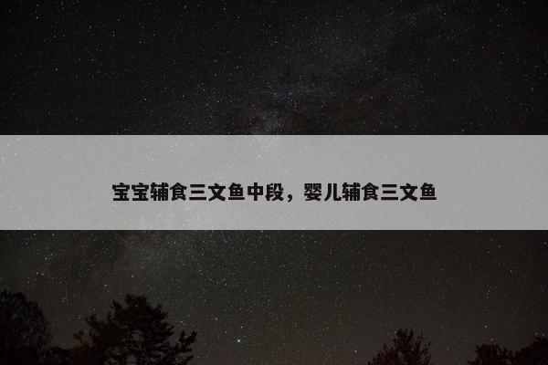 宝宝辅食三文鱼中段，婴儿辅食三文鱼