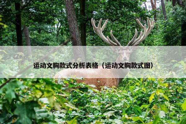 运动文胸款式分析表格（运动文胸款式图）