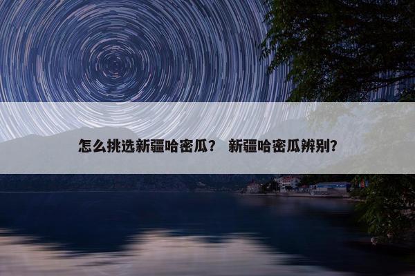 怎么挑选新疆哈密瓜？ 新疆哈密瓜辨别？