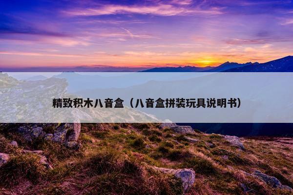 精致积木八音盒（八音盒拼装玩具说明书）