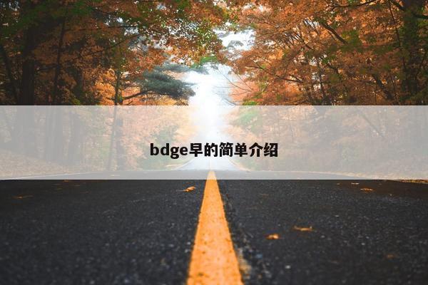 bdge早的简单介绍 bdge早的简单介绍