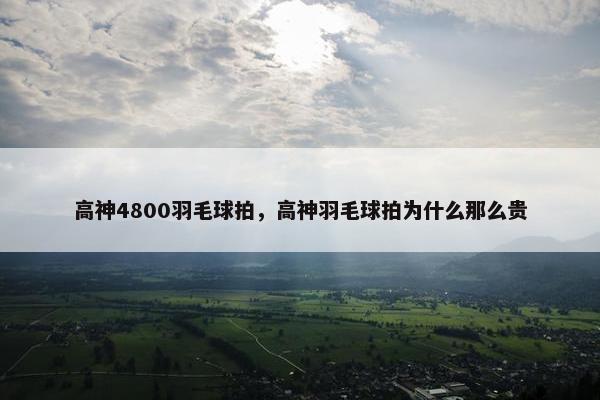 高神4800羽毛球拍，高神羽毛球拍为什么那么贵