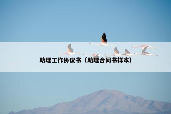 助理工作协议书(助理合同书样本) 助理工作协议书(助理合同书样本)