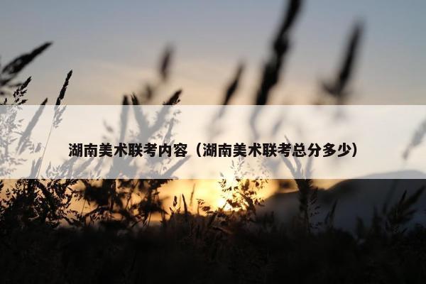 湖南美术联考内容（湖南美术联考总分多少）