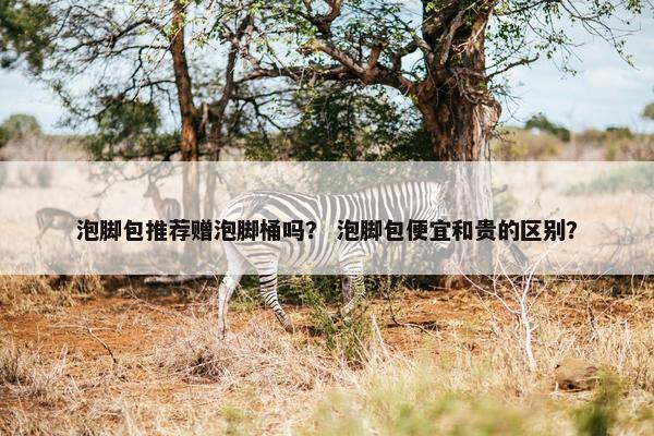 泡脚包推荐赠泡脚桶吗？ 泡脚包便宜和贵的区别？