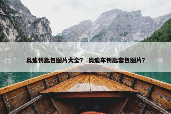 奥迪钥匙包图片大全？ 奥迪车钥匙套包图片？