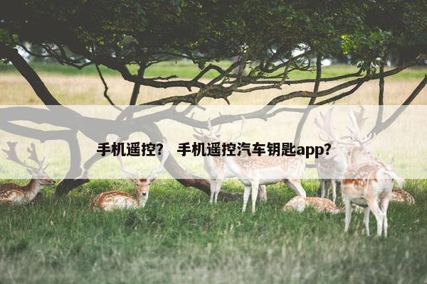 手机遥控？ 手机遥控汽车钥匙app？