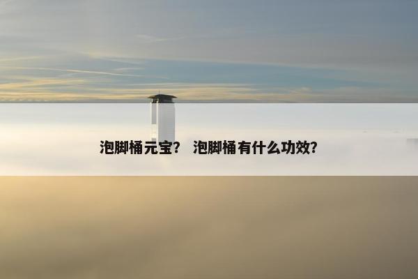 泡脚桶元宝？ 泡脚桶有什么功效？