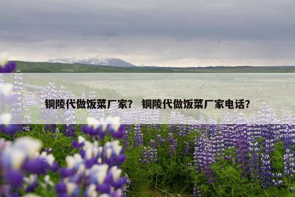 铜陵代做饭菜厂家？ 铜陵代做饭菜厂家电话？