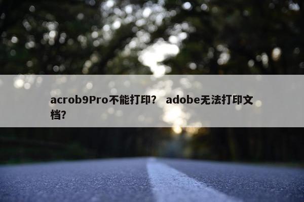 acrob9Pro不能打印？ adobe无法打印文档？
