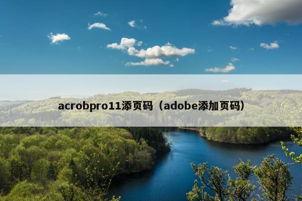 acrobpro11添页码（adobe添加页码）
