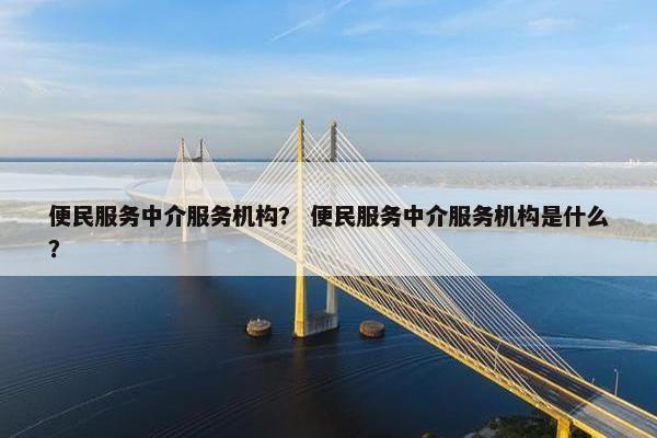 便民服务中介服务机构？ 便民服务中介服务机构是什么？