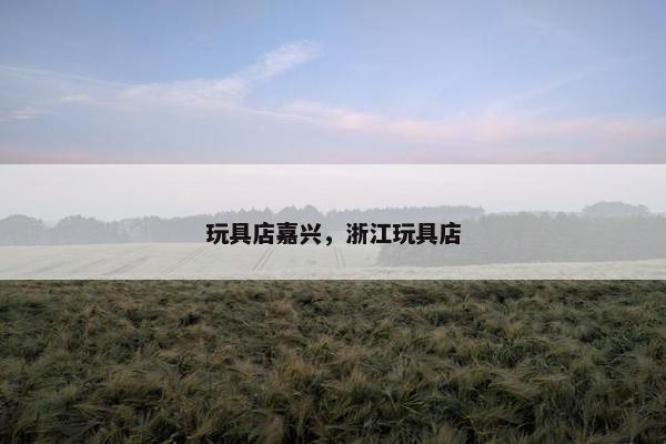 玩具店嘉兴，浙江玩具店