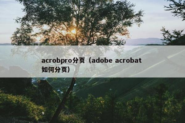 acrobpro分页（adobe acrobat 如何分页）