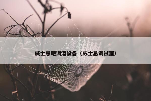 威士忌吧调酒设备(威士忌调试酒) 威士忌吧调酒设备(威士忌调试酒)