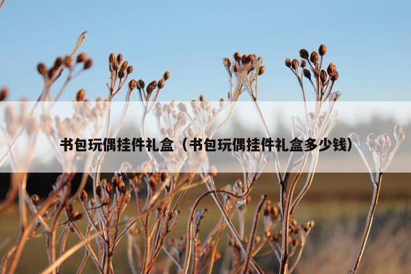 书包玩偶挂件礼盒（书包玩偶挂件礼盒多少钱）