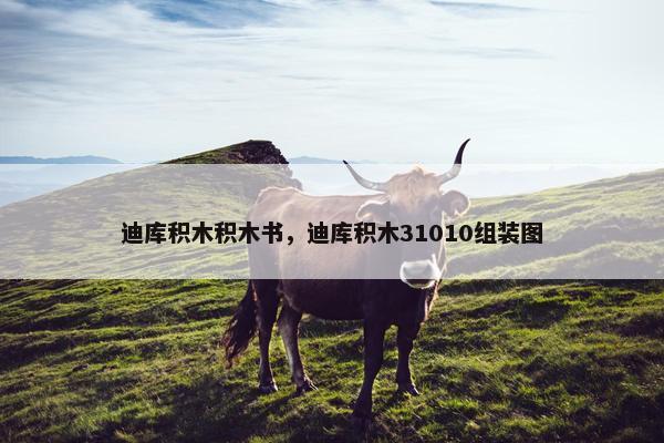 迪库积木积木书,迪库积木31010组装图 迪库积木积木书,迪库积木31010组装图